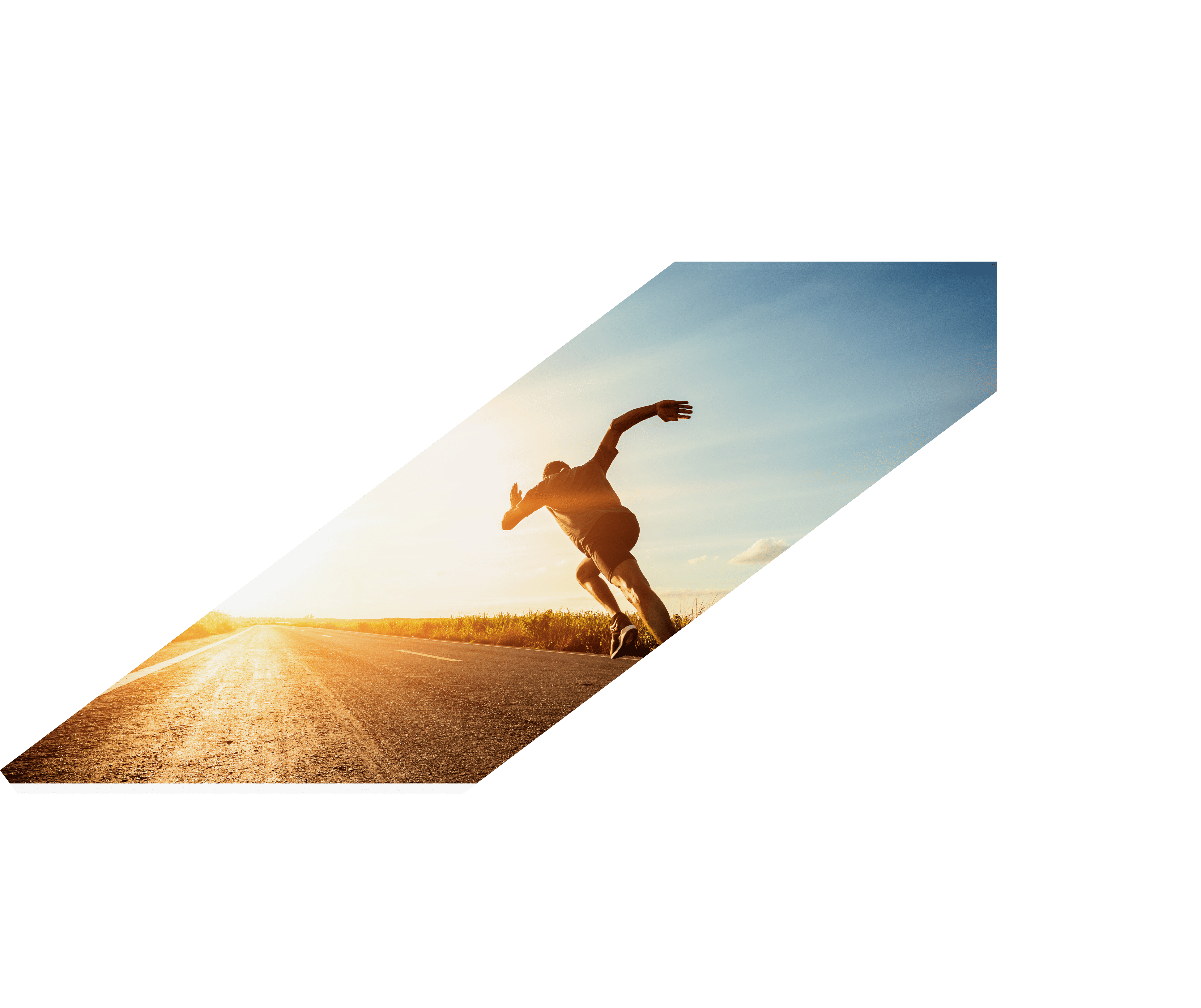 株式会社シュロ